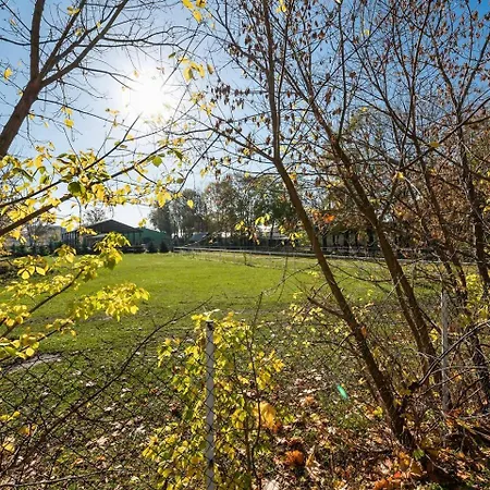 Apartment Zielone Zacisze